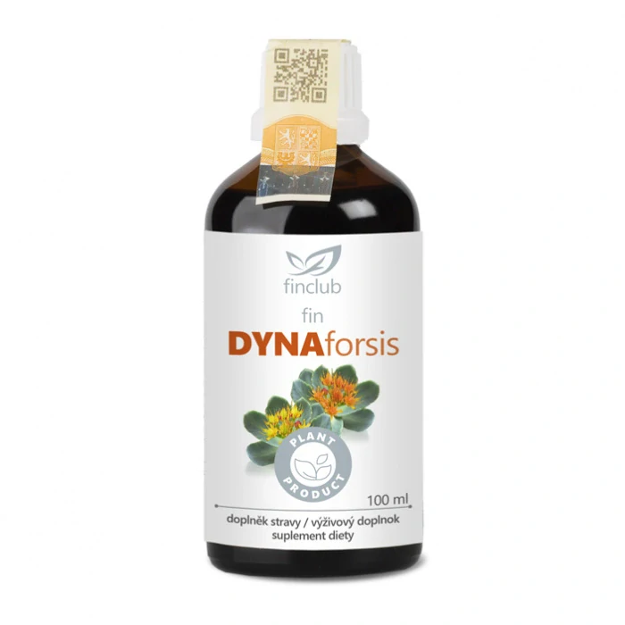 fin Dynaforsis